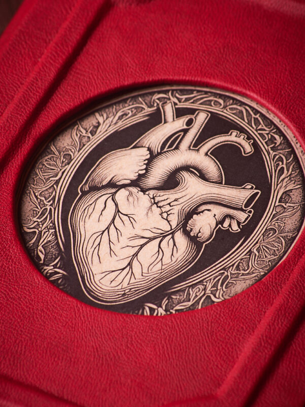 Corazón Anatómico
