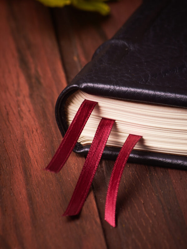 _DSC3454 Susurros de Medianoche