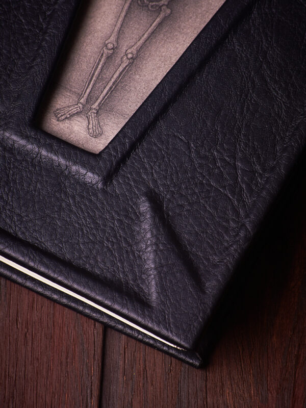 _DSC3459 Susurros de Medianoche