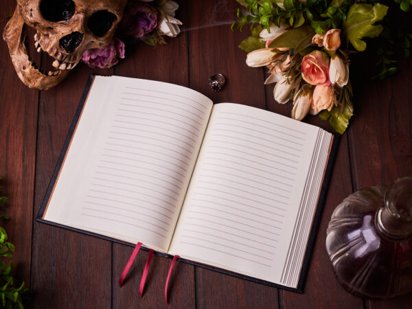 _DSC3465 Susurros de Medianoche