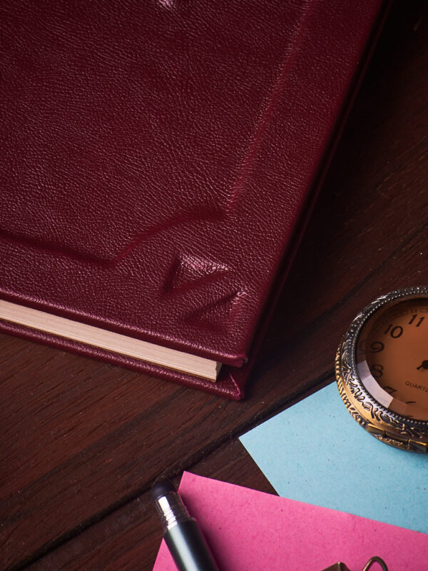 _DSC3482 Agenda Pulso