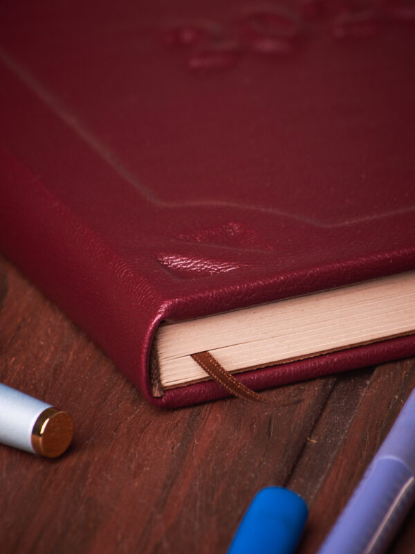 _DSC3486 Agenda Pulso