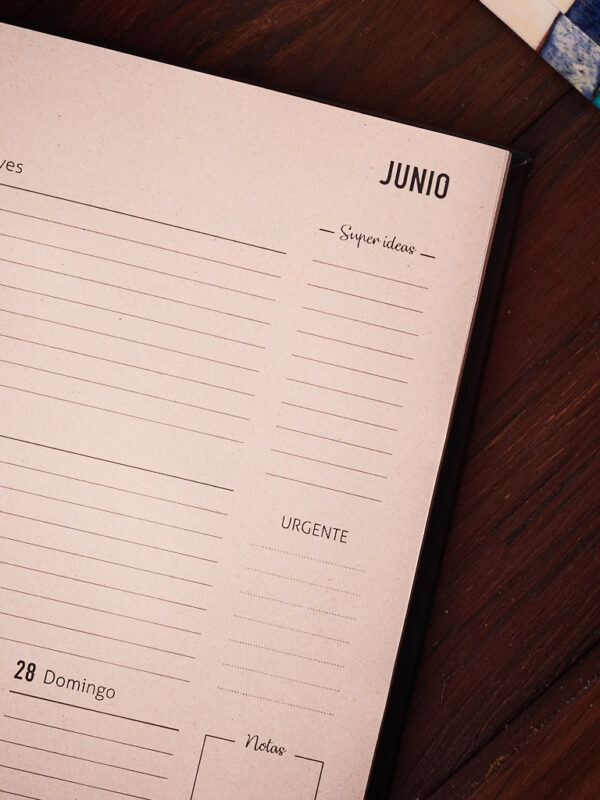 _DSC3499 Agenda ímpetu