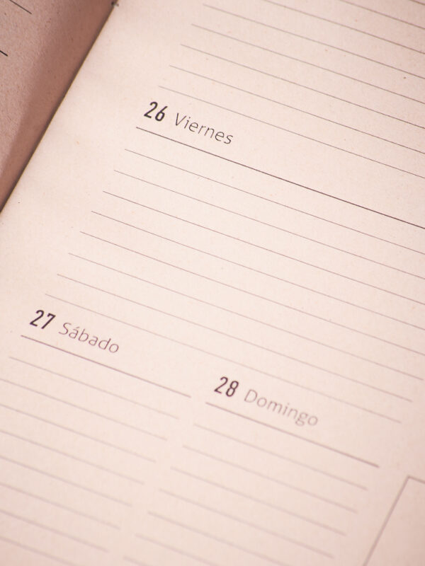 _DSC3501 Agenda Senda