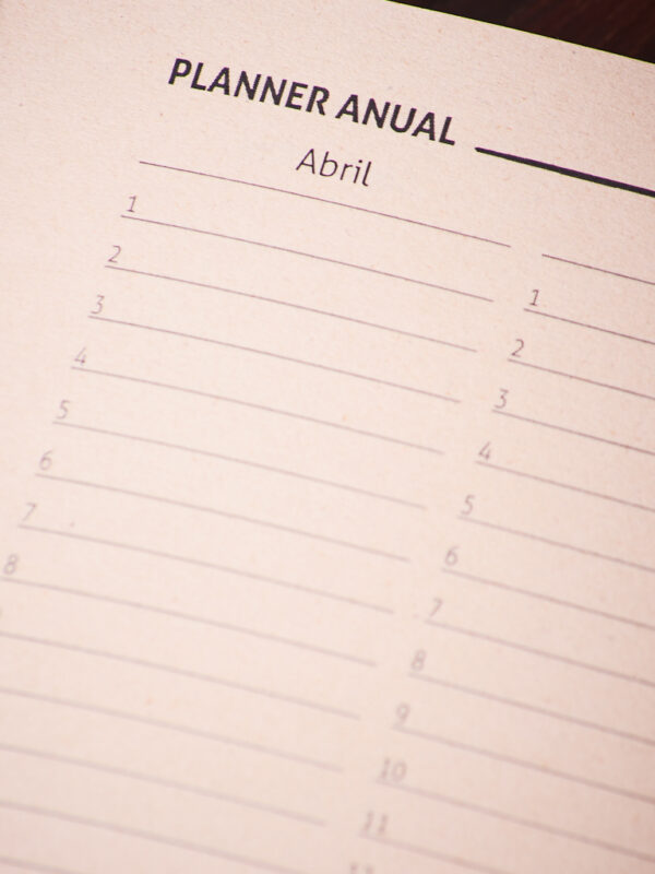 _DSC3504 Agenda ímpetu