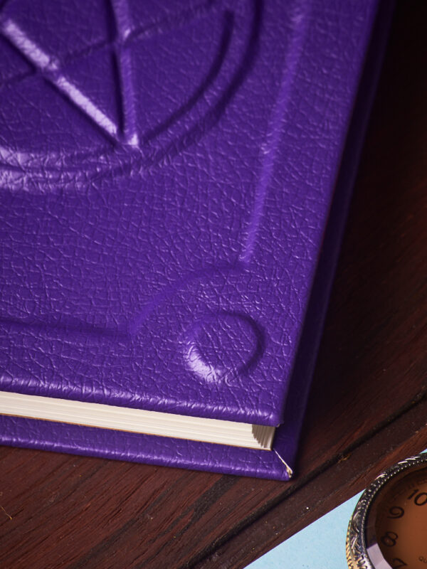 _DSC3551 NOCTURNO MÁGICO