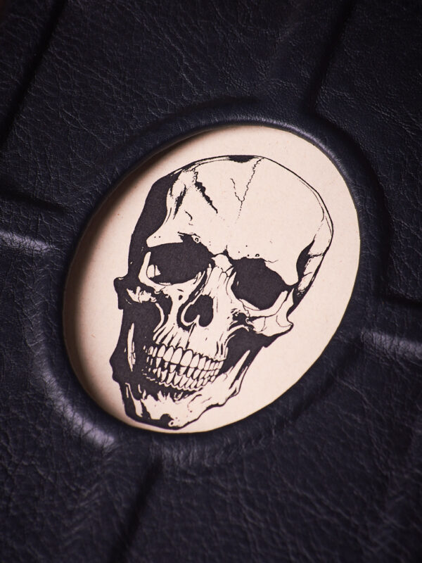 _DSC3573 Calavera Intrigante