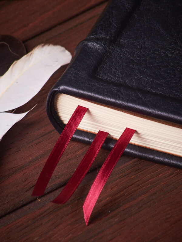 _DSC3574 Calavera Intrigante