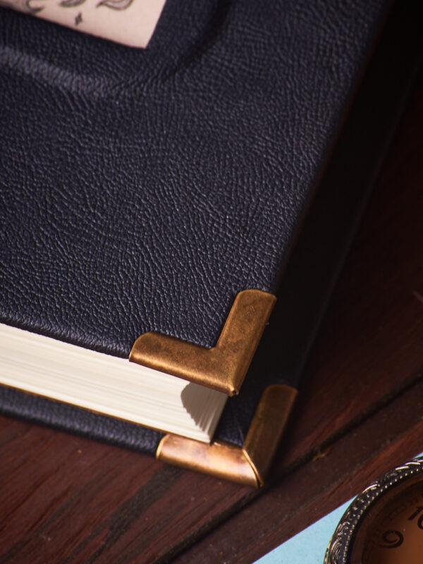 _DSC3576 Dragón de Fuego