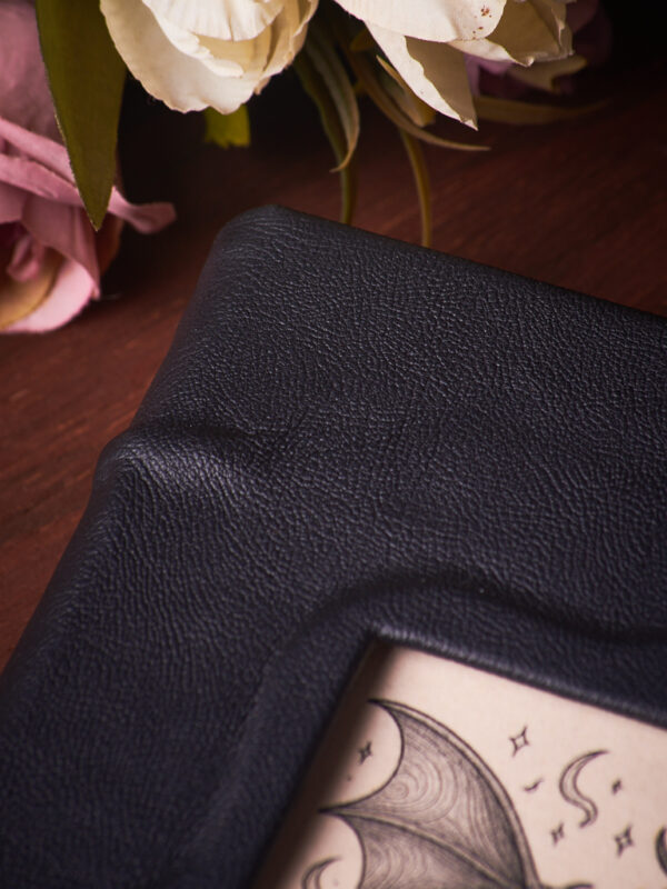 _DSC3577 Dragón de Fuego