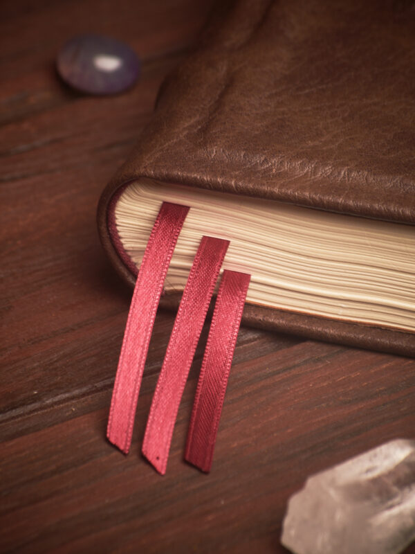 Bitácora del Kraken