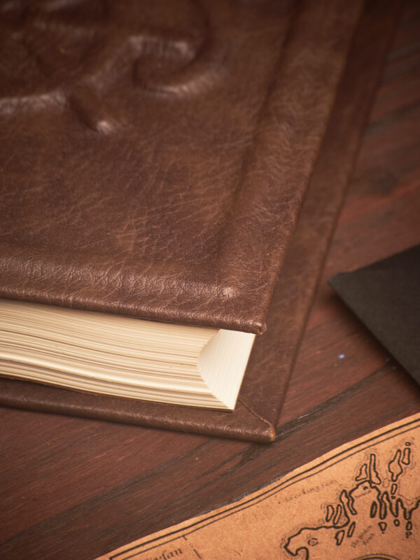 Bitácora del Kraken