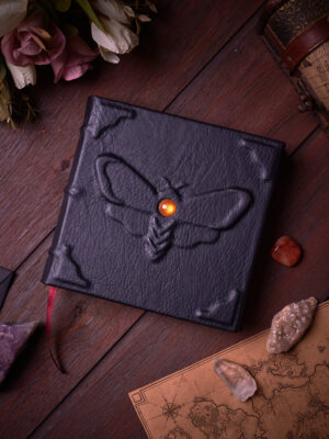 _DSC3875 Alas de Noche