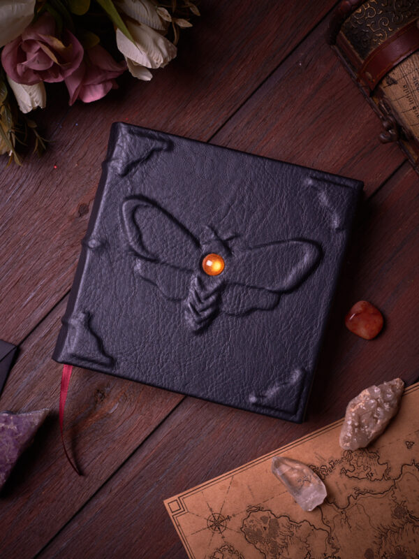 _DSC3875 Alas de Noche