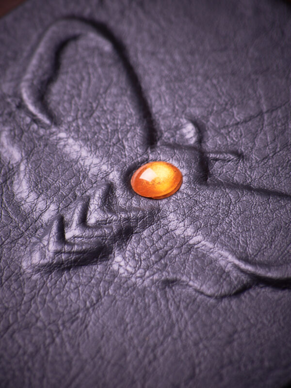 _DSC3880 Alas de Noche